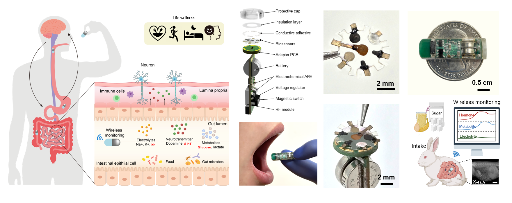 I. Continuous noninvasive biochemical profiling of the gastrointestinal tract