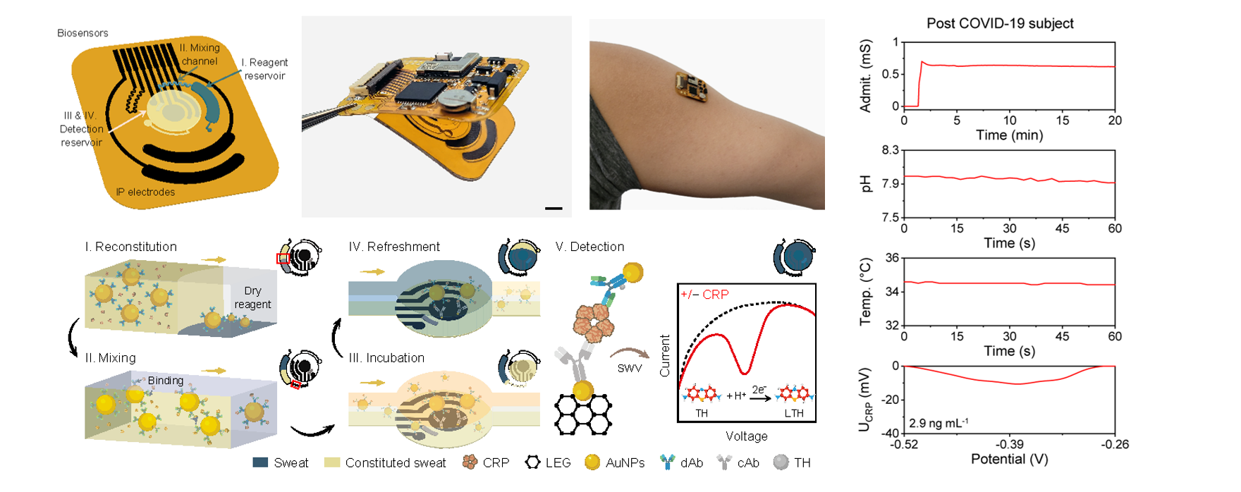 III. LEG-based immunosensors for sensitive detection of c-reactive protein