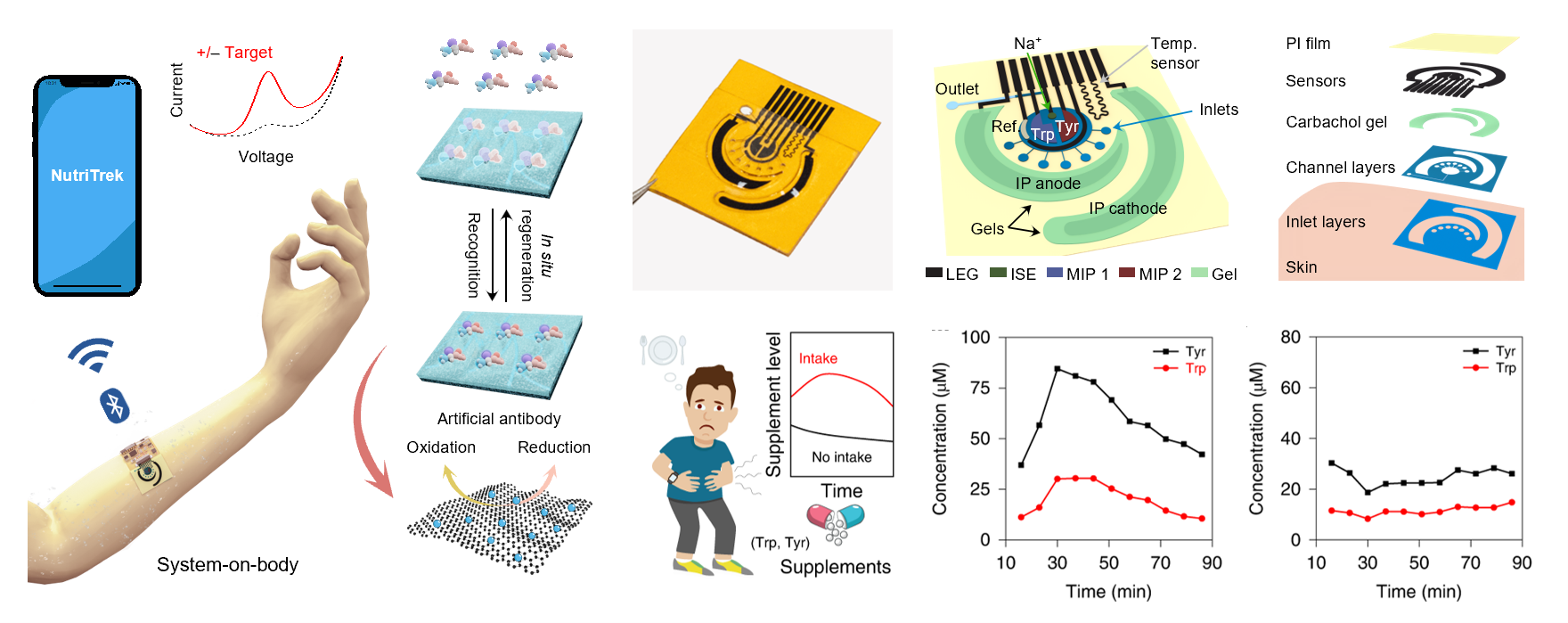 I. Laser-engraved graphene (LEG) sensors for sensitive detection of uric acid and tyrosine